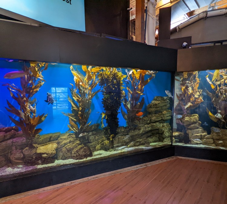 Cabrillo Marine Aquarium (San&nbspPedro,&nbspCA)